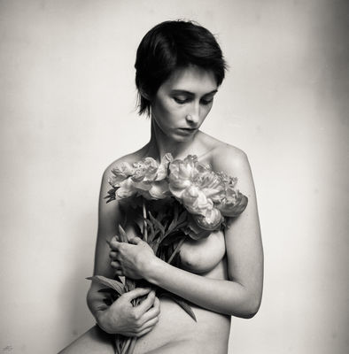 Peony pink (from Flowers and Elements) / Portrait  photography by Photographer Andy Go ★6 | STRKNG