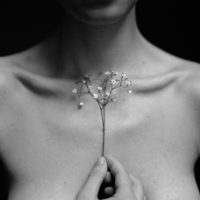 Gypsophila - from flowers and elements / Fine Art  Fotografie von Fotograf Andy Go ★6 | STRKNG