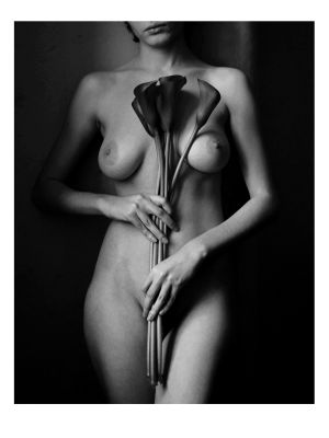 Zantedeschia 1 / Fine Art  Fotografie von Fotograf Andy Go ★7 | STRKNG