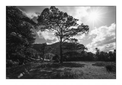 Killarney Wedding Photographer / Wedding  photography by Photographer Bartek Witek | STRKNG