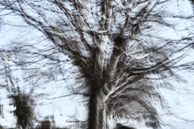 Last Winterdays IV / Abstrakt  Fotografie von Fotograf Rolf Florschuetz ★2 | STRKNG