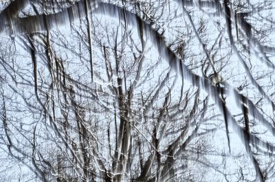 Last Winterdays III / Abstract  photography by Photographer Rolf Florschuetz ★2 | STRKNG