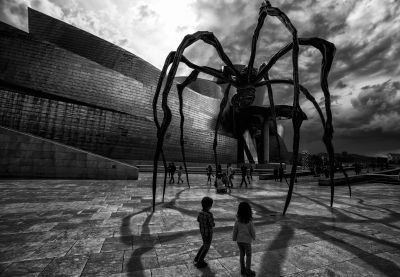 Spider / Schwarz-weiss  Fotografie von Fotografin Brigitte Wildling ★1 | STRKNG