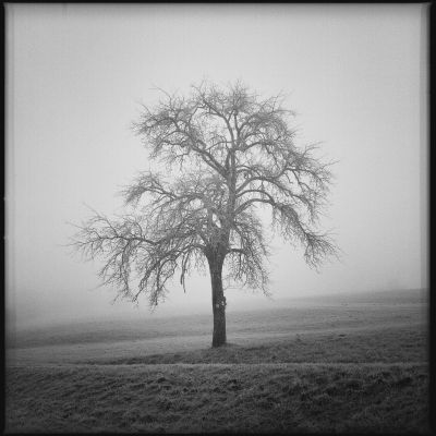 Lonely / Landscapes  photography by Photographer Jakob L. ★2 | STRKNG