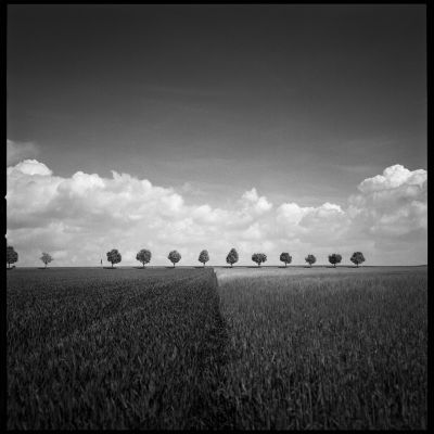 Lined up / Landscapes  photography by Photographer Jakob L. ★2 | STRKNG