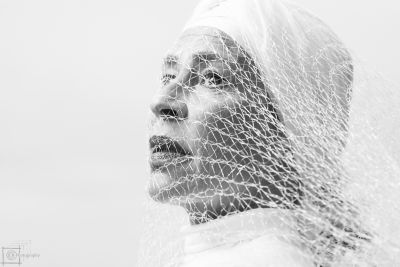 Network / Schwarz-weiss  Fotografie von Fotografin Carola Bührmann ★8 | STRKNG