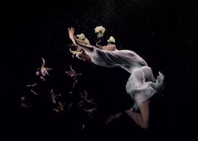 Ocean Flowers / Fine Art  Fotografie von Fotograf Jose G Cano ★10 | STRKNG