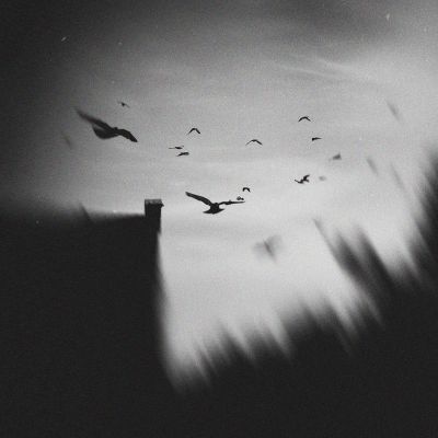 from seriess 'The World In Monochrome' / Black and White  photography by Photographer MWeiss ★2 | STRKNG