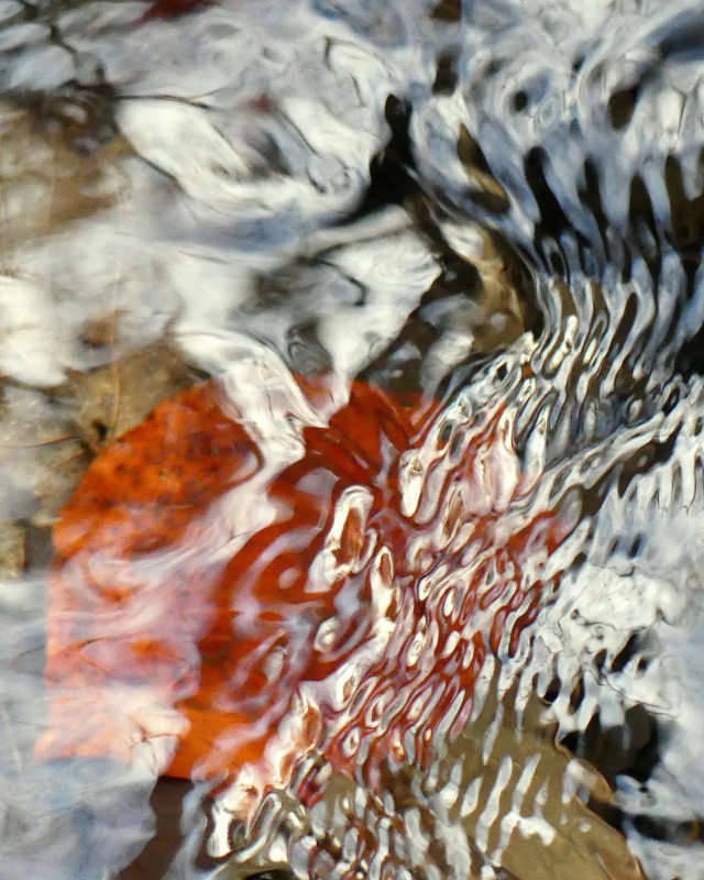 Winteraquarell - &copy; Blühfeldt | Natur