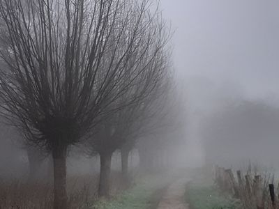 Mystic Way / Natur  Fotografie von Fotograf Blühfeldt | STRKNG