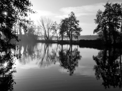 Lichter Morgen am Niederrhein / Nature  photography by Photographer Blühfeldt | STRKNG