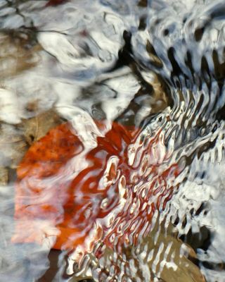 Winteraquarell / Nature  photography by Photographer Blühfeldt | STRKNG