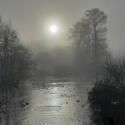 Winternebel / Natur  Fotografie von Fotograf Blühfeldt | STRKNG