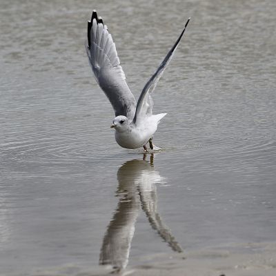 Natur  Fotografie von Fotograf Altro punto | STRKNG