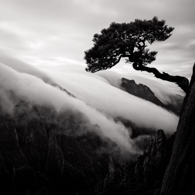 Landscapes  photography by Photographer van Hoogstraten ★6 | STRKNG