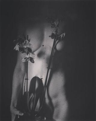 I&#039;m a plant / Nude  Fotografie von Fotografin Annalisa De Luca ★9 | STRKNG
