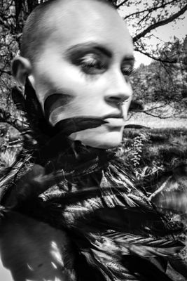 Molting Silence Molting Silence / Fine Art photography by Photographer Thomas Gerwers ★20 | STRKNG
