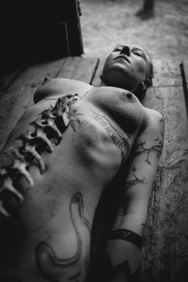 Morphic Field Morphic Field / Nude photography by Photographer Thomas Gerwers ★20 | STRKNG