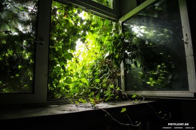 Room with a View / Abandoned places  photography by Photographer Pottlicht | STRKNG