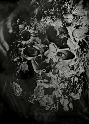 Daphne / Fine Art  photography by Photographer Laura Aubrée ★2 | STRKNG