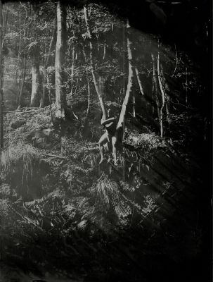 Regnum Naturae / Fine Art  Fotografie von Fotografin Laura Aubrée ★2 | STRKNG