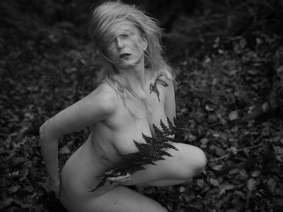 Farn / Stimmungen  Fotografie von Fotograf Andreas Ebner ★2 | STRKNG