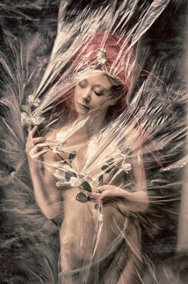 Blowing in the wind / Kreativ  Fotografie von Fotograf Martial Rossignol ★6 | STRKNG