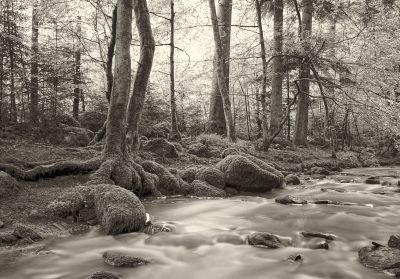 Monbachtal 1 / Landscapes  Fotografie von Fotograf AndreasH. | STRKNG