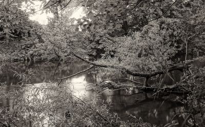 Enz / Schwarz-weiss  Fotografie von Fotograf AndreasH. | STRKNG