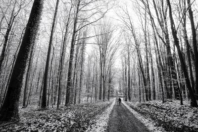 The human being / Black and White  photography by Photographer AndreasH. | STRKNG