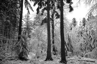 winter day I / Landscapes  photography by Photographer AndreasH. | STRKNG