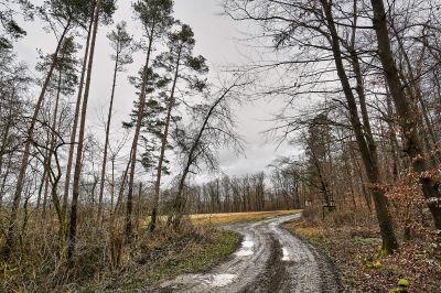 Way / Landscapes  Fotografie von Fotograf AndreasH. | STRKNG