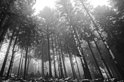 winter day II / Landscapes  Fotografie von Fotograf AndreasH. | STRKNG