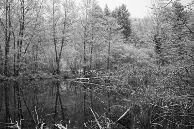 Bruchtalsee / Landscapes  Fotografie von Fotograf AndreasH. | STRKNG