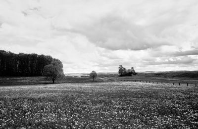 Schwäbische Alb ! / Landscapes  Fotografie von Fotograf AndreasH. | STRKNG