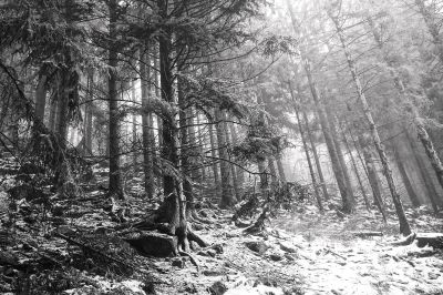 winter day VI / Landscapes  photography by Photographer AndreasH. | STRKNG