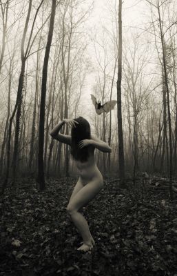 Come closer and see See into the trees / Fine Art  photography by Photographer Belanglosigkeit ★4 | STRKNG