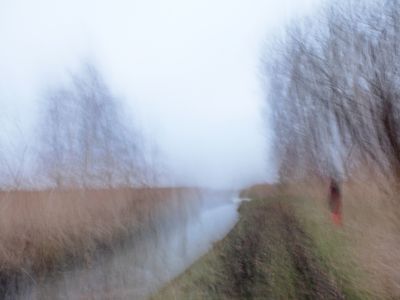 Am Saaler Bodden / Landscapes  photography by Photographer Michael Heinzig ★1 | STRKNG