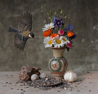 Stillleben mit Kohlmeise / Still-Leben  Fotografie von Fotograf Michael Heinzig ★1 | STRKNG