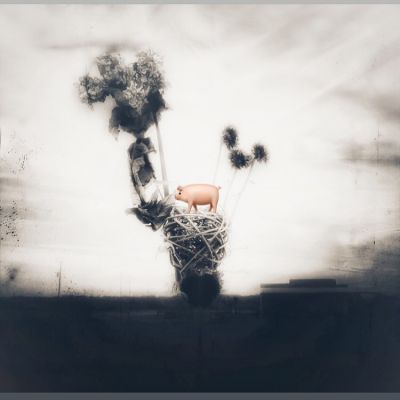 Kreativ  Fotografie von Fotografin hope | STRKNG