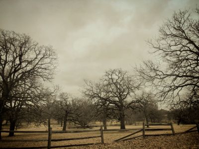 B r o k e n  fences / Natur  Fotografie von Fotografin hope | STRKNG