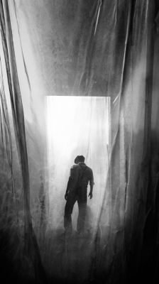 curtain / Street  photography by Photographer Simone Sander ★15 | STRKNG