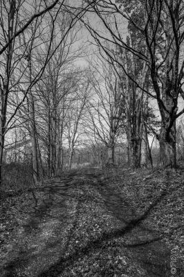 The road to nowhere / Landscapes  photography by Photographer SecondLifeP | STRKNG