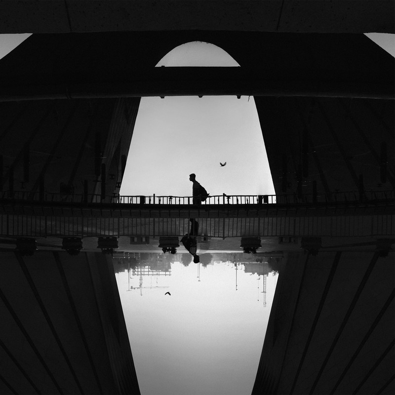 Morning Fog - &copy; Mohammad Dadsetan | Kreativ