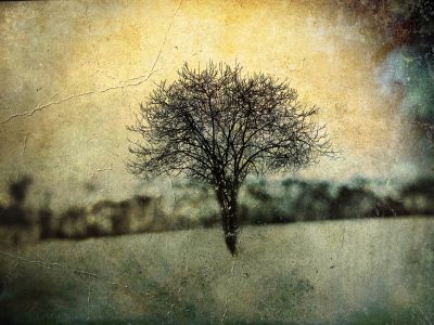 Landscape in the old photo / Kreativ  Fotografie von Fotograf Mariusz Janoszek ★3 | STRKNG