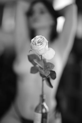 the lucky rose / Schwarz-weiss  Fotografie von Fotograf the model photograph ★6 | STRKNG