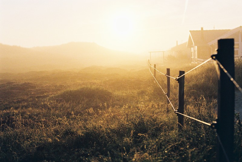 Morning sun. Mid Jutland landscape, 2021. - &copy; auqanaj | Reise