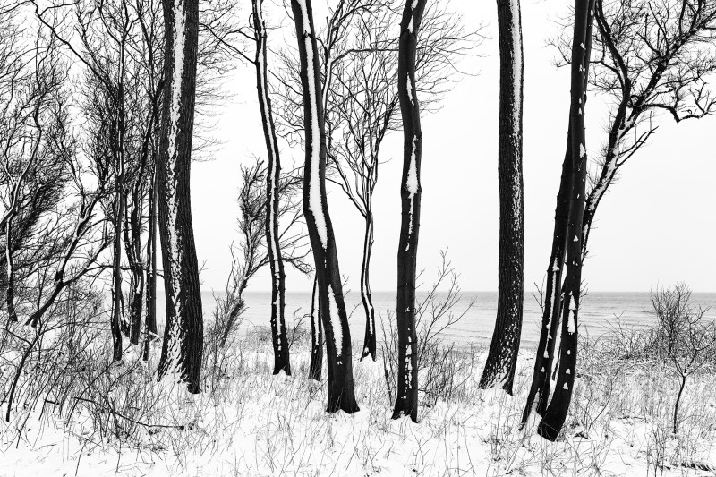 Winterlandschaft an der Ostsee - &copy; Heiko Westphalen | Black and White