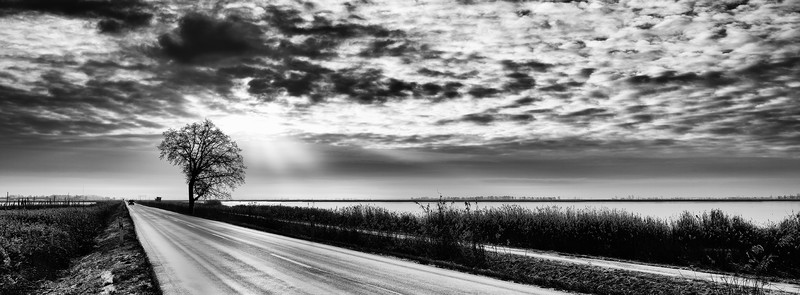 Gegenlicht auf Usedom - &copy; Heiko Westphalen | Black and White