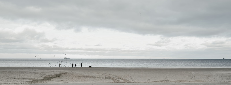 XPan Panorama, Usedom - &copy; Heiko Westphalen | Wasserlandschaften